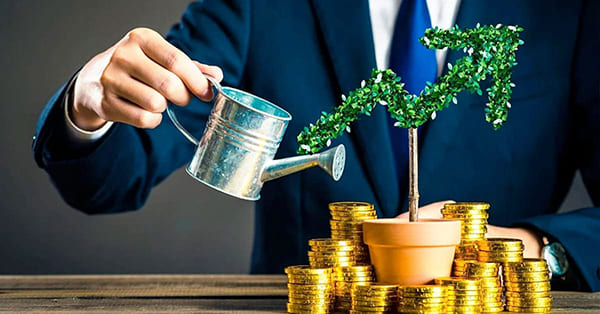 Premier Wealth Management Services: Maximum Your Wealth